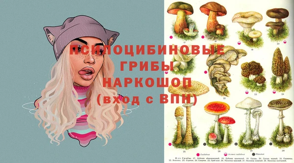 крисы Верея