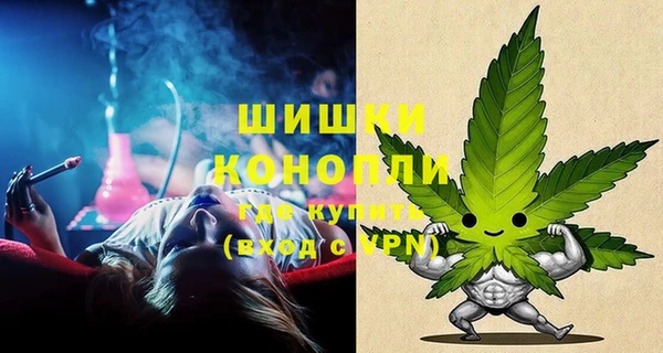 крисы Верея
